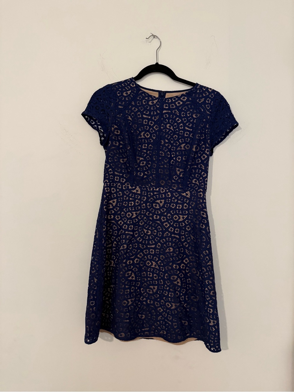 LOFT Navy Blue Lace Short Sleeve Fit-and-Flare Dress